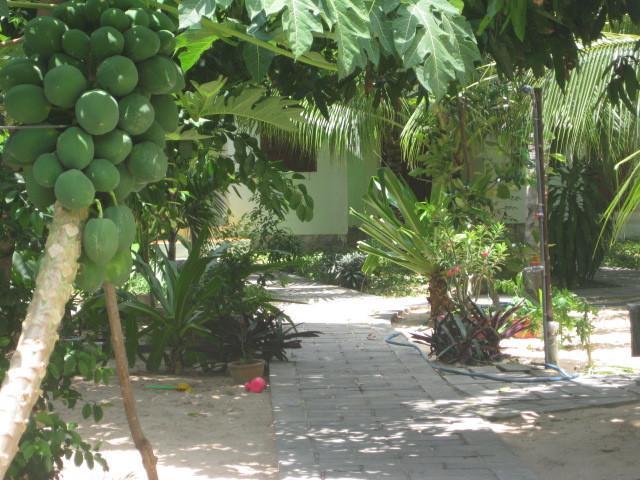 Cocosand Hotel Phan Thiết Extérieur photo