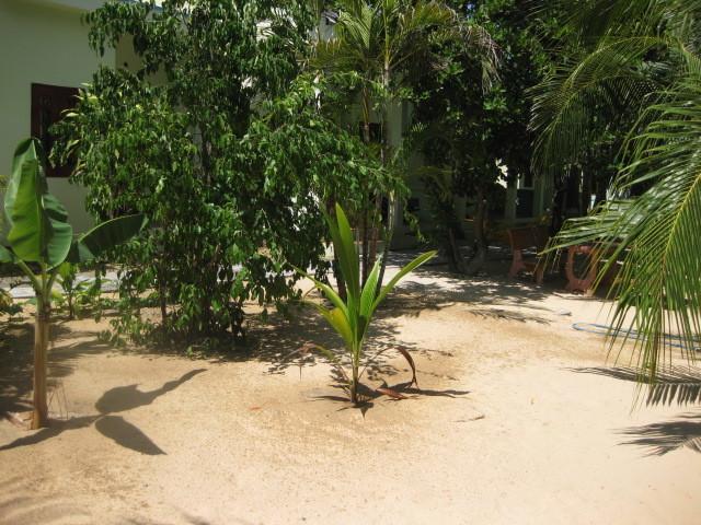 Cocosand Hotel Phan Thiết Extérieur photo