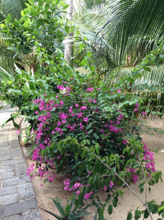 Cocosand Hotel Phan Thiết Extérieur photo