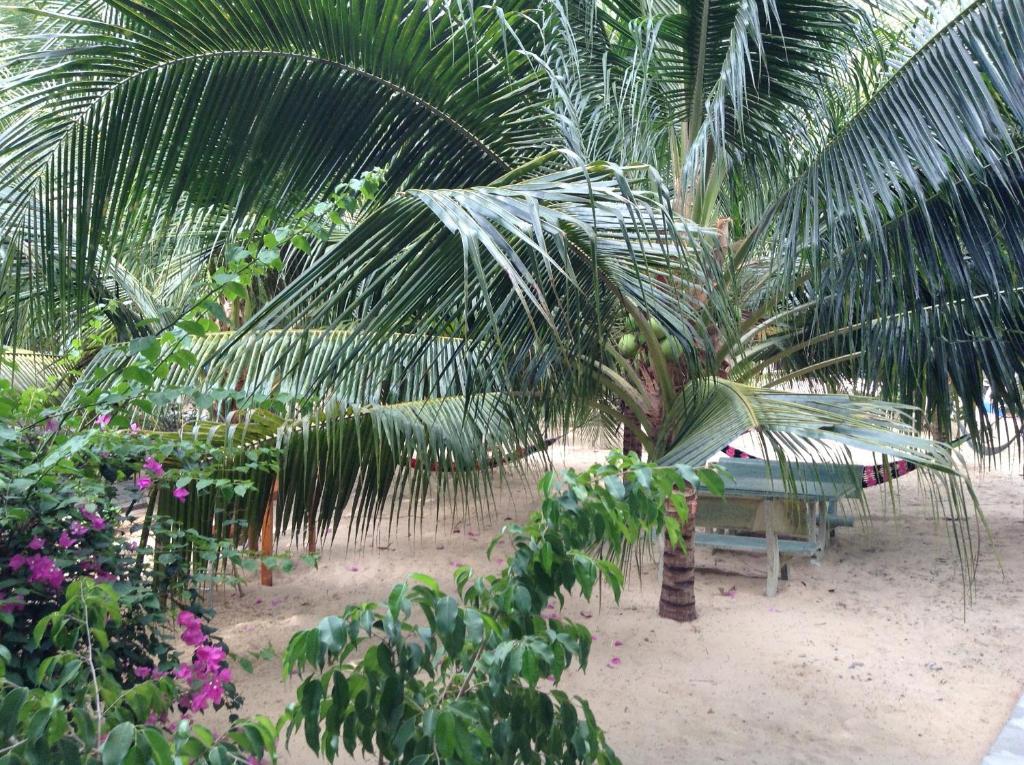 Cocosand Hotel Phan Thiết Extérieur photo