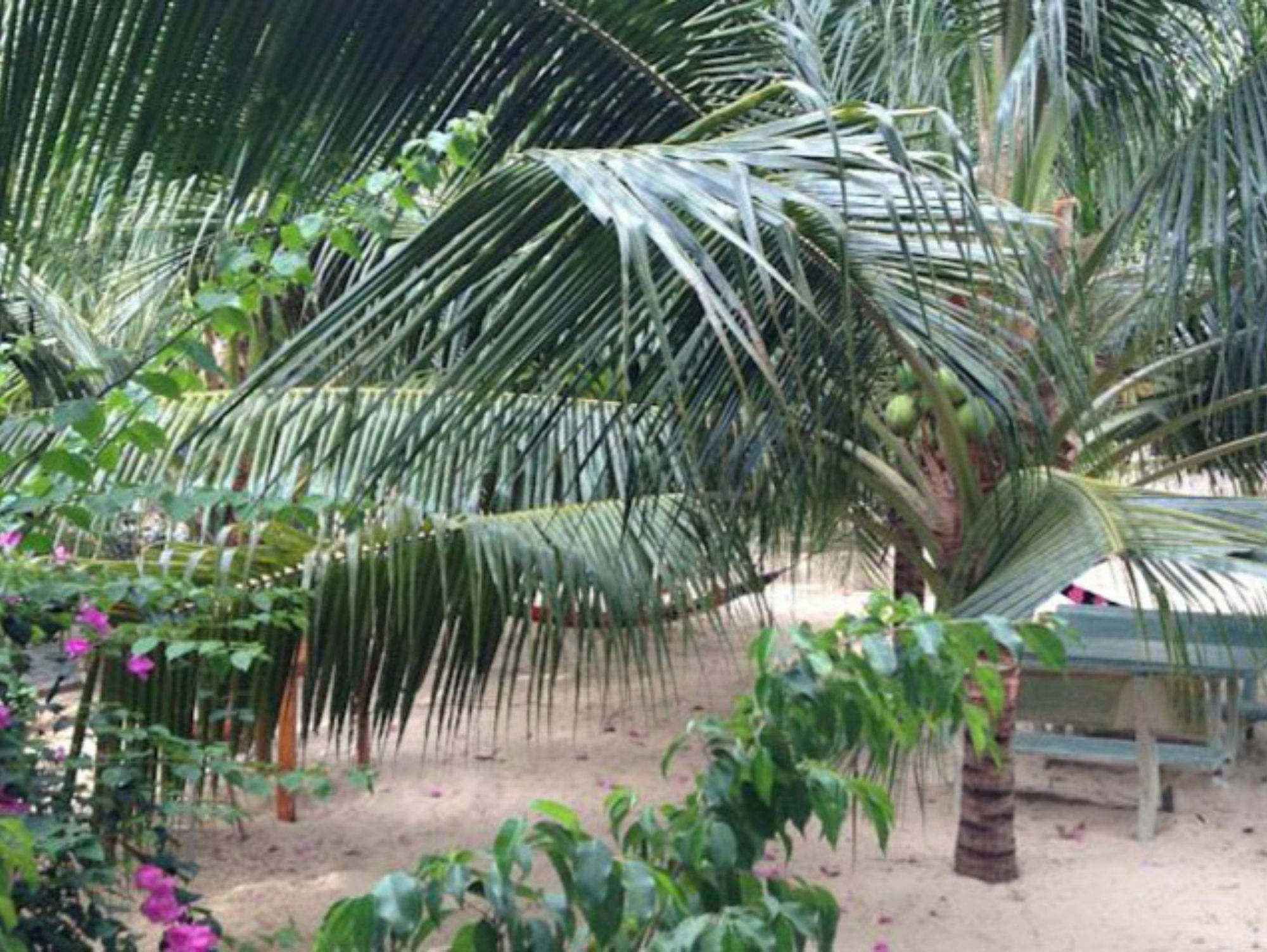 Cocosand Hotel Phan Thiết Extérieur photo