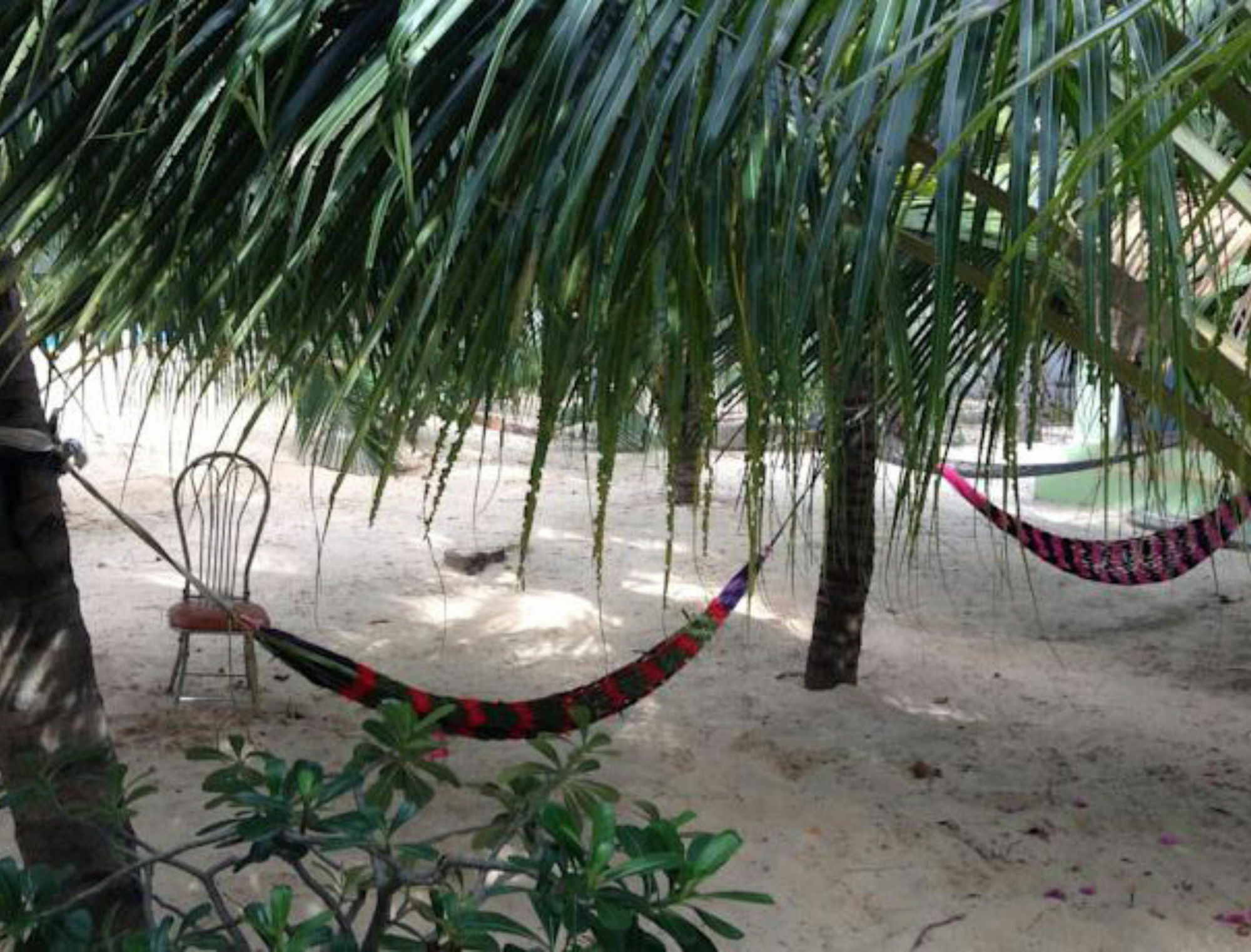 Cocosand Hotel Phan Thiết Extérieur photo